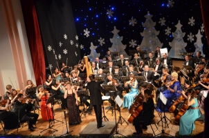 Новорічний сюрприз 2013